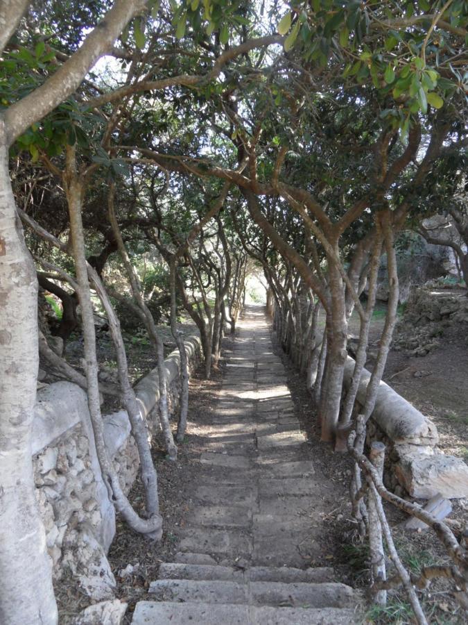קאלה אן פורקאט Villa Getty מראה חיצוני תמונה